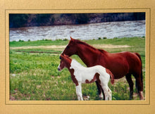 Load image into Gallery viewer, Handmade Photo Greeting Cards – By: Susan Harrow of Blue Heaven