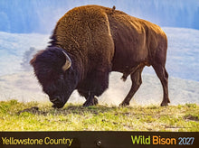 Load image into Gallery viewer, Yellowstone Country Wild Bison 2027 Calendar – By: Buffalo Field Campaign