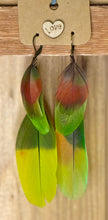 Load image into Gallery viewer, Fairy Friendly Feathers - By: Chandra Beechly