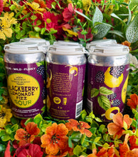 Load image into Gallery viewer, Blackberry Lemonade Fizz Sour – By: Bozeman Brewing Company