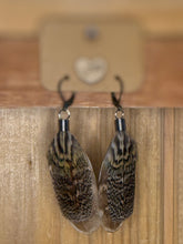 Load image into Gallery viewer, Fairy Friendly Feathers - By: Chandra Beechly