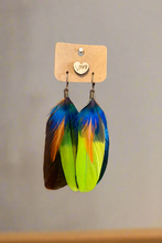 Load image into Gallery viewer, Fairy Friendly Feathers - By: Chandra Beechly