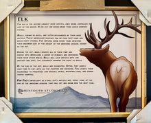 Load image into Gallery viewer, Elk Framed Educational Print – By: Ted Rechlin | Rextooth Studios