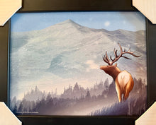 Load image into Gallery viewer, Elk Framed Educational Print – By: Ted Rechlin | Rextooth Studios