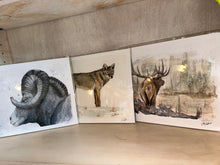 Load image into Gallery viewer, Haley Piatte Fine Art By: Haley McGinnis