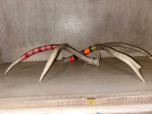 Load image into Gallery viewer, Haley Piatte Fine Art By: Haley McGinnis