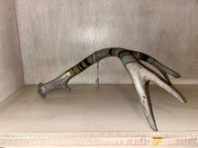 Load image into Gallery viewer, Haley Piatte Fine Art By: Haley McGinnis