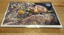 Load image into Gallery viewer, Greeting Cards - By: Lea F. Images
