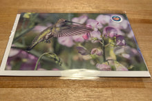 Load image into Gallery viewer, Greeting Cards - By: Lea F. Images