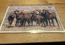 Load image into Gallery viewer, Greeting Cards - By: Lea F. Images