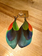 Load image into Gallery viewer, Fairy Friendly Feathers - By: Chandra Beechly