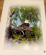 Load image into Gallery viewer, Montana Scene Greeting Cards - By: Crazy Mountain Images