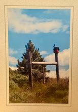 Load image into Gallery viewer, Handmade Photo Greeting Cards – By: Susan Harrow of Blue Heaven
