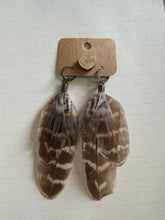 Load image into Gallery viewer, Fairy Friendly Feathers - By: Chandra Beechly
