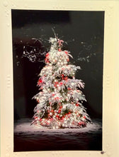Load image into Gallery viewer, Montana Christmas Cards - By: Crazy Mountain Images
