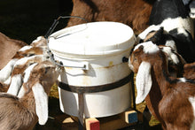Load image into Gallery viewer, Soap Saver Dish - By: Windrift Hill Goat Milk Skincare
