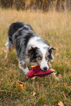 Load image into Gallery viewer, Animal Dog Toys - By: The Montana Scene
