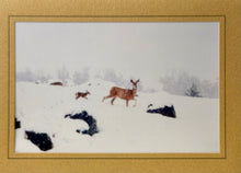 Load image into Gallery viewer, Handmade Photo Greeting Cards – By: Susan Harrow of Blue Heaven
