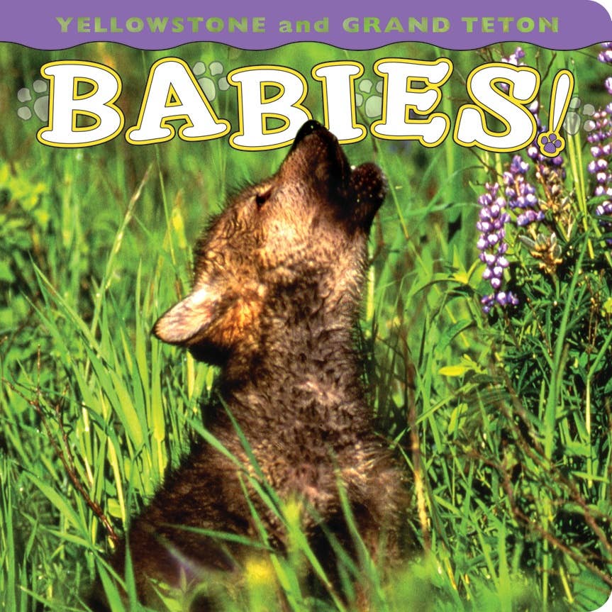 Yellowstone and Grand Teton Babies - By: Wendy Shattil and Bob Rozinski