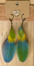 Load image into Gallery viewer, Fairy Friendly Feathers - By: Chandra Beechly

