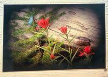 Load image into Gallery viewer, Montana Scene Greeting Cards - By: Crazy Mountain Images
