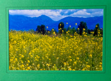 Load image into Gallery viewer, Handmade Photo Greeting Cards – By: Susan Harrow of Blue Heaven
