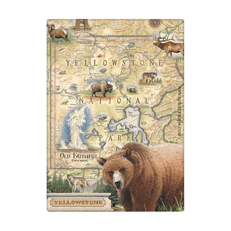 Yellowstone National Park Map Grizzly Magnet - By: XPLORER MAPS