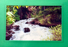 Load image into Gallery viewer, Handmade Photo Greeting Cards – By: Susan Harrow of Blue Heaven
