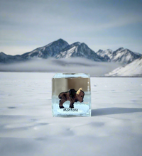 Load image into Gallery viewer, Lit&#39;l Buffalo Montana Snow Globe/Cube - By: Mother Moose Gifts
