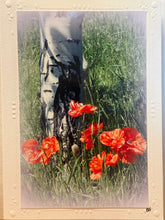 Load image into Gallery viewer, Montana Scene Greeting Cards - By: Crazy Mountain Images
