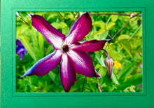Load image into Gallery viewer, Handmade Photo Greeting Cards – By: Susan Harrow of Blue Heaven
