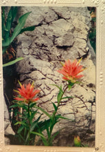 Load image into Gallery viewer, Montana Scene Greeting Cards - By: Crazy Mountain Images
