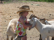 Load image into Gallery viewer, Child petting a goat outdoors.
