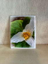 Load image into Gallery viewer, Notecards - By: Bright Blooms MT
