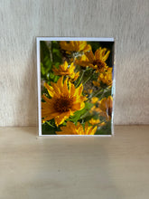 Load image into Gallery viewer, Notecards - By: Bright Blooms MT
