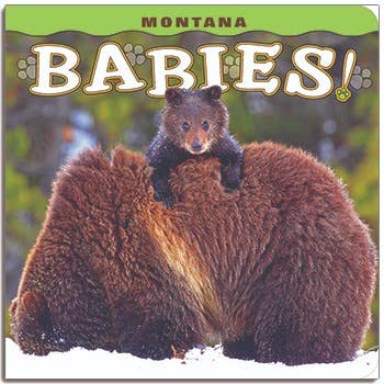Montana Babies