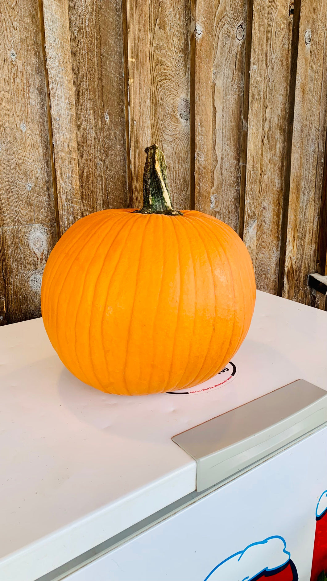 Rocky Creek Farm Pumpkins