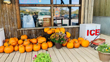 Load image into Gallery viewer, Rocky Creek Farm Pumpkins
